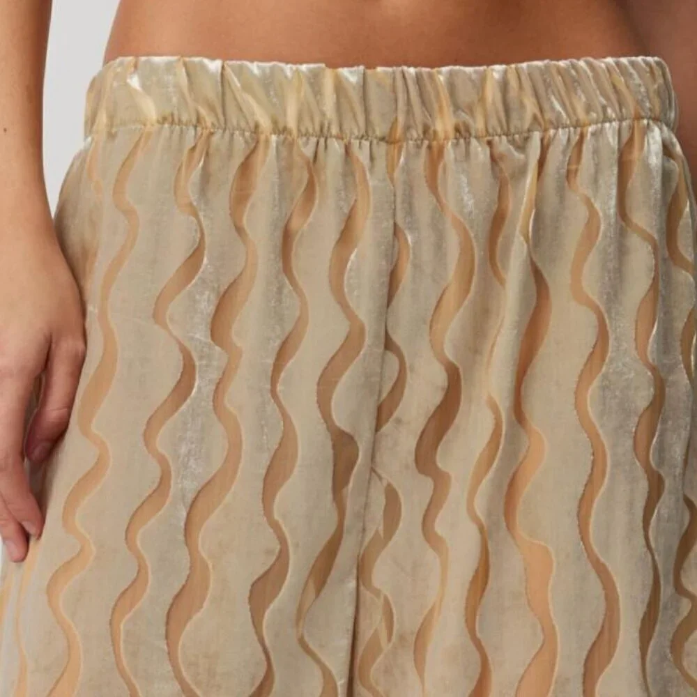 NWT Urban Renewal Party Remnants Neutral Velvet Burnout Pants